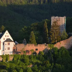 https://panorama-blick-miltenberg-3-pers-zentr-am-main-terrasse.com-bavaria.com